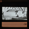http://www.nelsonweb.it/gf/dsu_af_fs.art_03161r_B.jpg