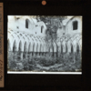 http://www.nelsonweb.it/gf/dsu_af_fs.art_01359r_B.jpg