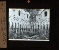 http://www.nelsonweb.it/gf/dsu_af_fs.art_01359r_B.jpg