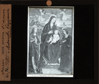 http://www.nelsonweb.it/gf/dsu_af_fs.art_01378r_B.jpg