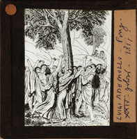 http://www.nelsonweb.it/gf/dsu_af_fs.art_01350r_B.jpg