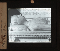 http://www.nelsonweb.it/gf/dsu_af_fs.art_03296r_B.jpg