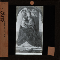 http://www.nelsonweb.it/gf/dsu_af_fs.art_01373r_B.jpg