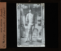 http://www.nelsonweb.it/gf/dsu_af_fs.art_01374r_B.jpg